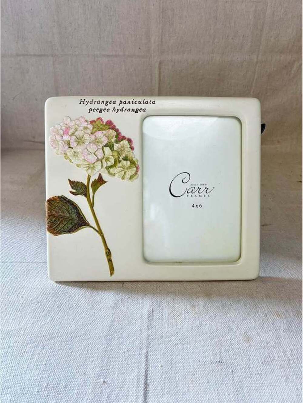 Carr 4x6 Hydrangea Ceramic Picture Frame